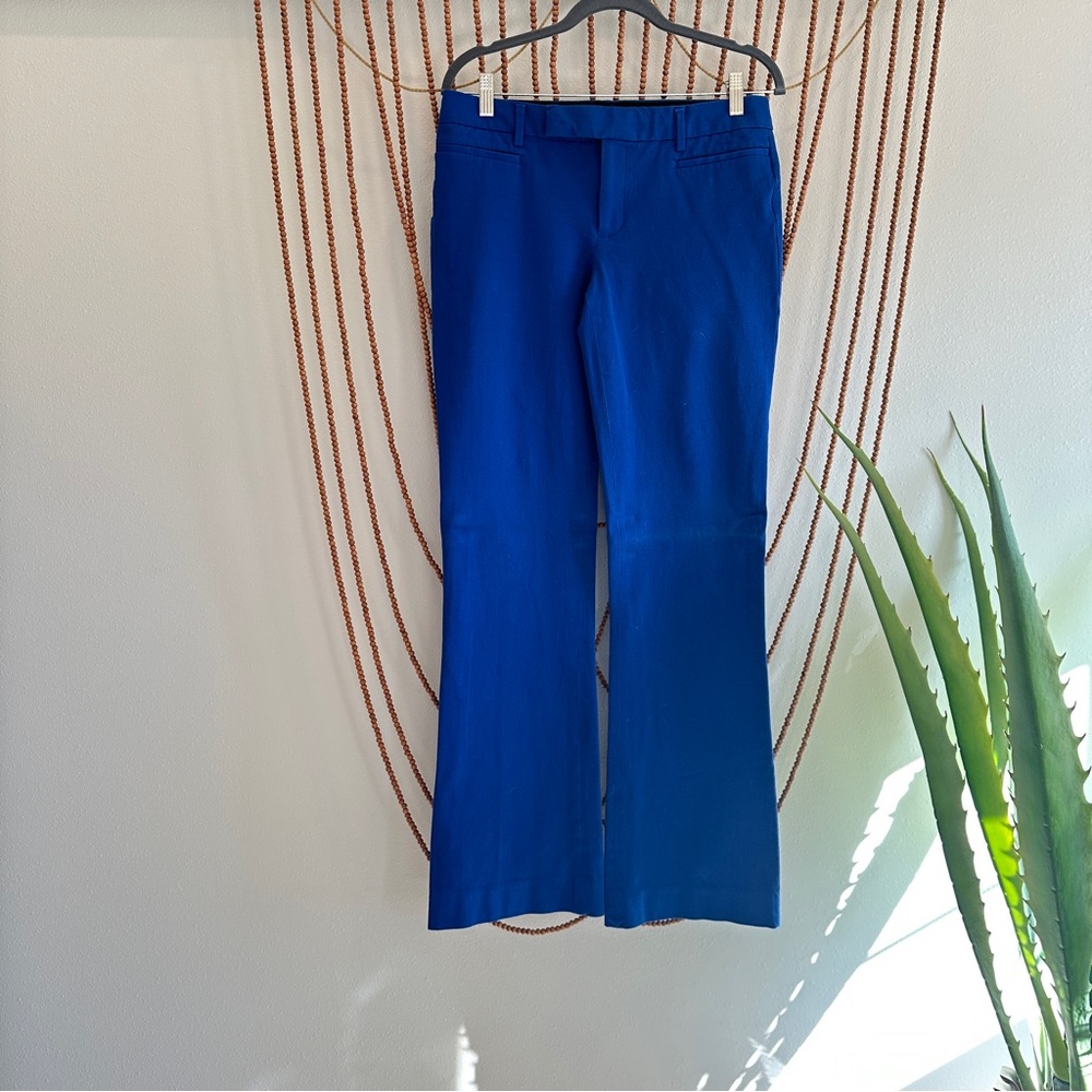 Vibrant Blue 6L Dress Pants